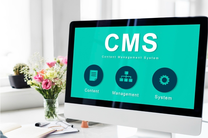Web Designers in Mysore